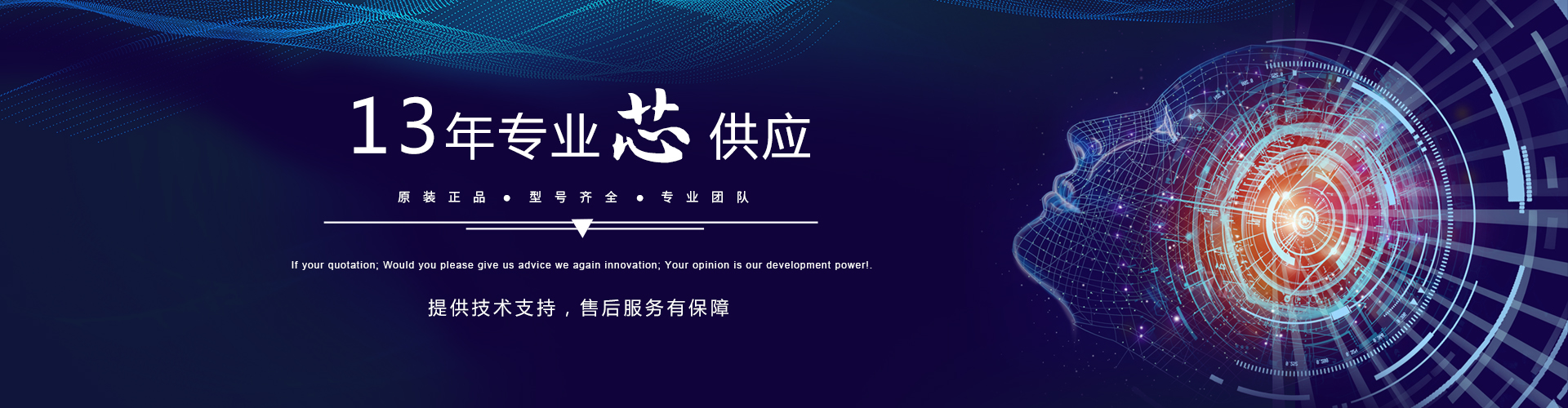 首页横幅三